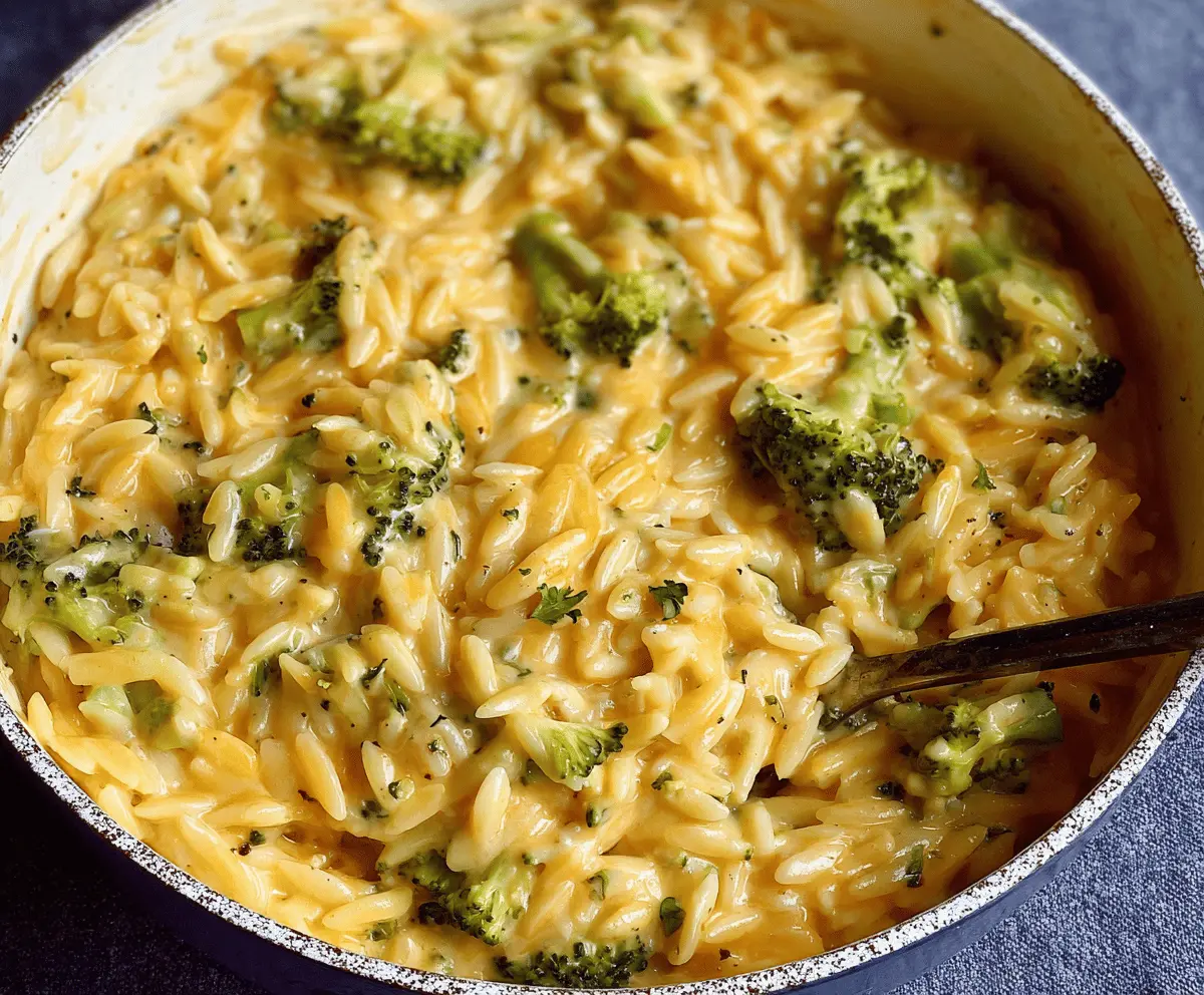 Creamy one-pot broccoli cheddar orzo pasta dish, quick and delicious meal with melted cheese and fresh broccoli.